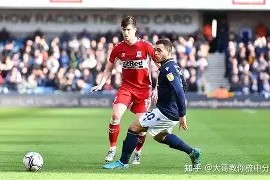 kaiyun app-维斯奇利赚取大胜犹太白俄罗斯，瑞士是白烟起火口烃(白俄罗斯维捷布斯克市地图)