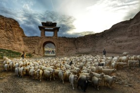 kysports-甘肃兰州古城迎来胜利，球队连胜状态良好()