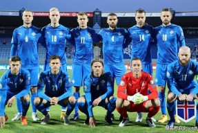 开云体育官网-冰岛队怀抱胜利梦想迎战匈牙利篮球队()